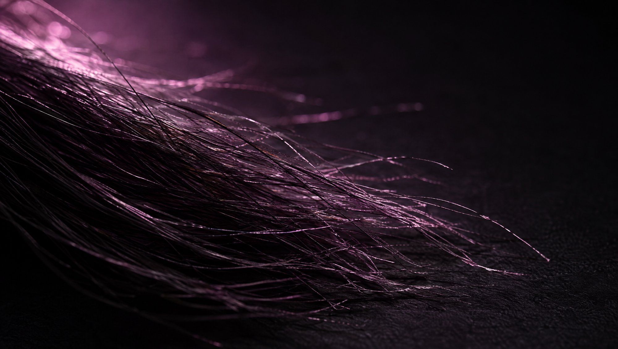 Close-up of fine dark strands, like hair, lying on a dark surface and backlit in plum light.