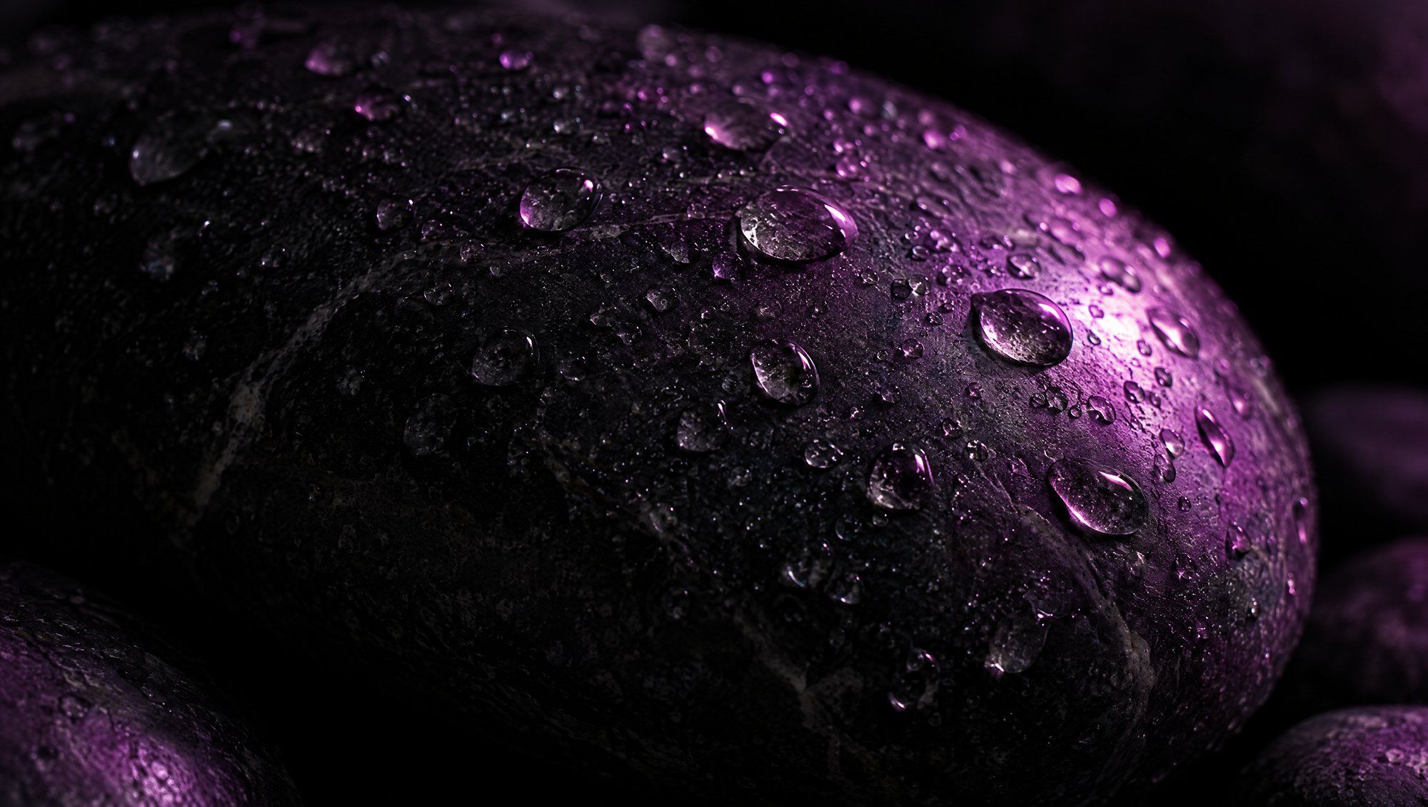 Close-up of a smooth dark stone covered in water droplets that catch plum light.